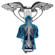 Back Wellness Program